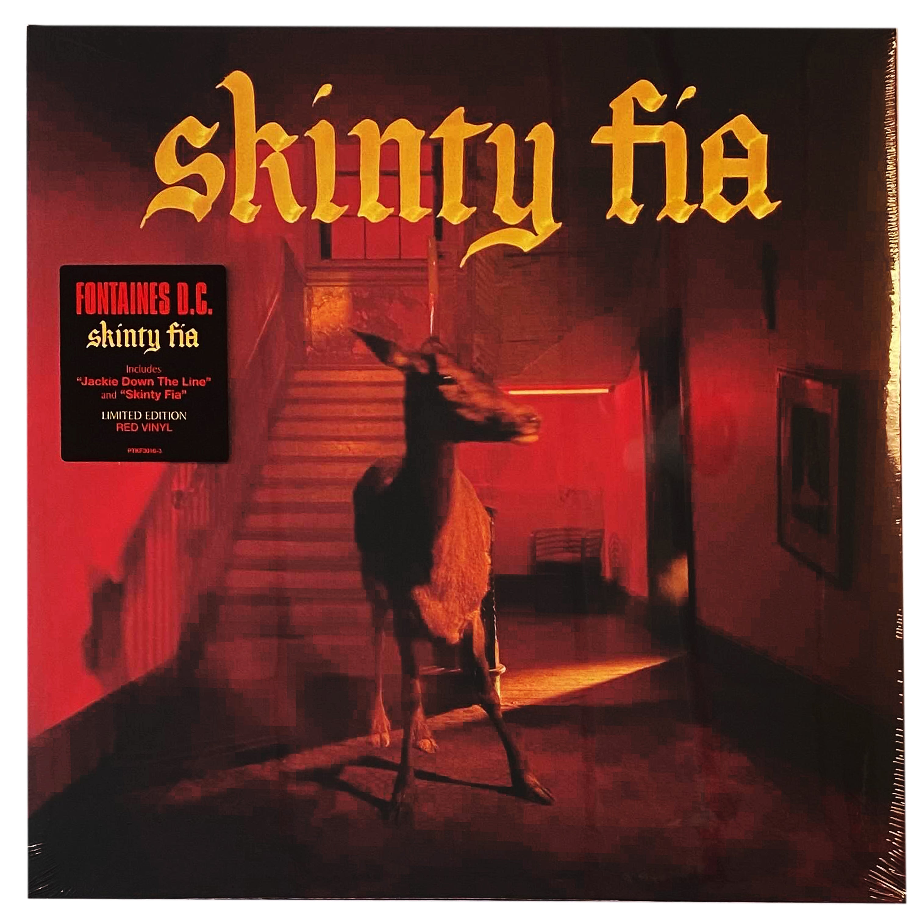 Fontaines DC: Skinty Fia 12