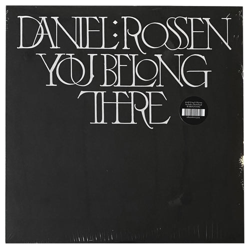 Daniel Rossen: You Belong There 12
