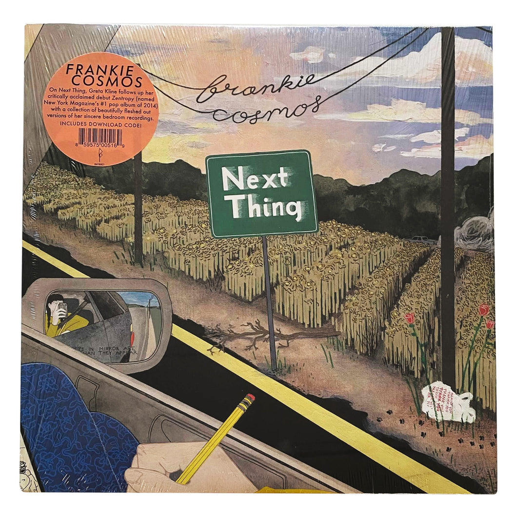 Frankie Cosmos: Next Thing 12