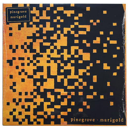 Pinegrove: Marigold 12