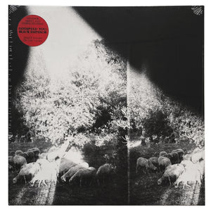 Godspeed You! Black Emperor: Asunder, Sweet And Other Distress 12"