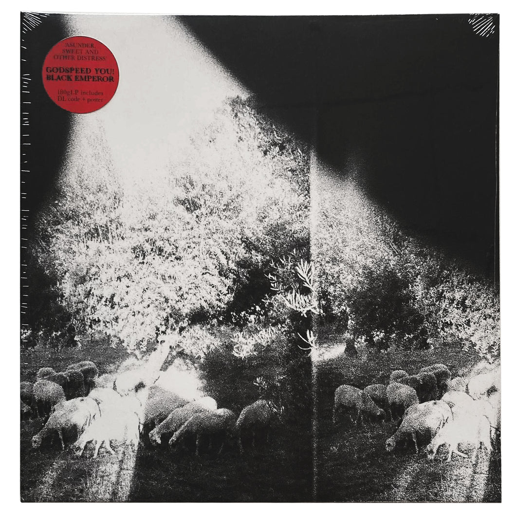 Godspeed You! Black Emperor: Asunder, Sweet And Other Distress 12