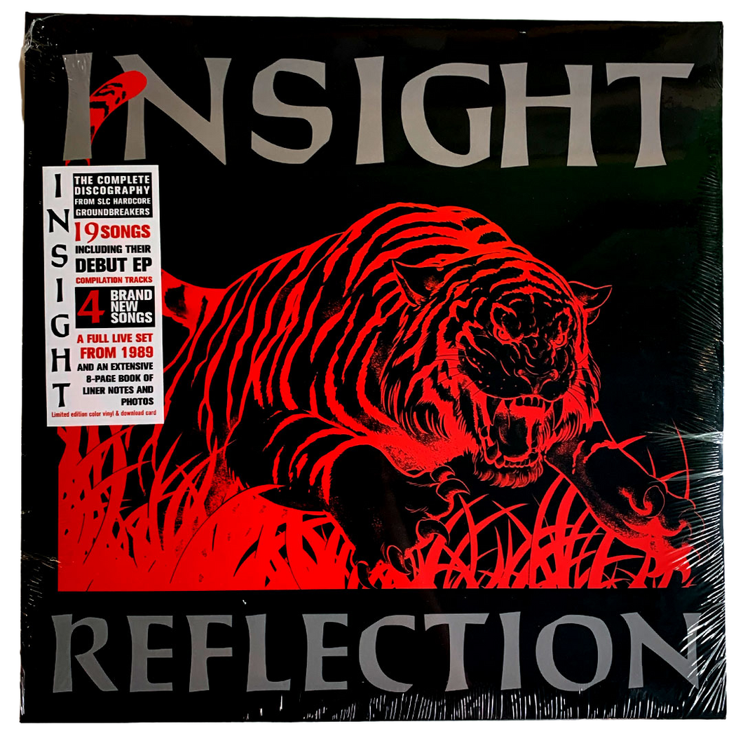 Insight: Reflection 12