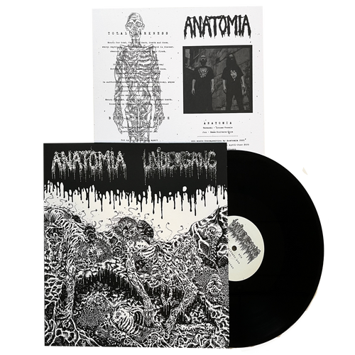 Undergang / Anatomia: Split 12