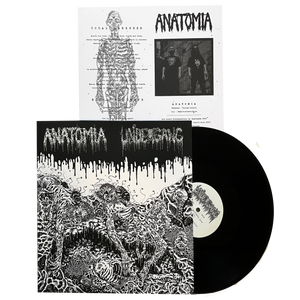 Undergang / Anatomia: Split 12"