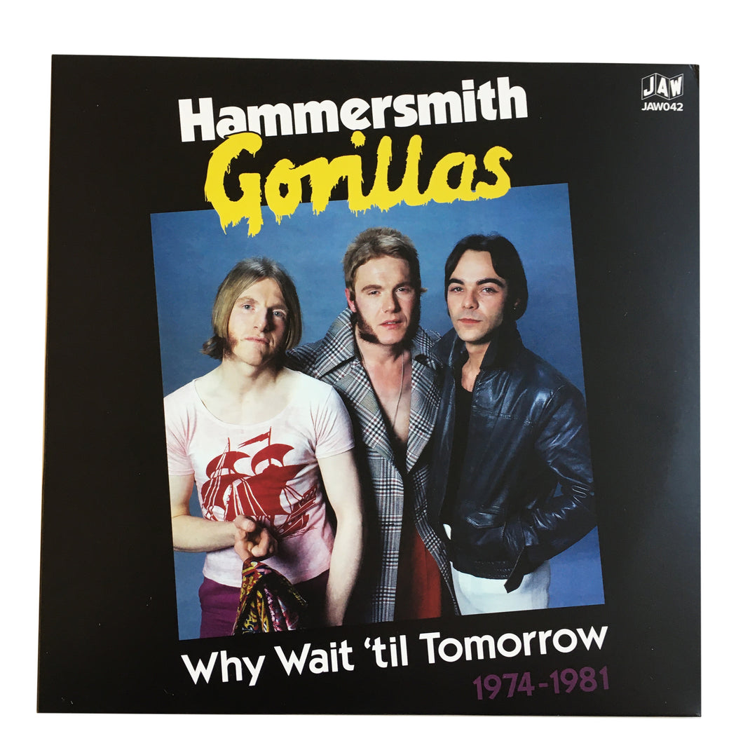 Hammersmith Gorillas: Why Wait Until Tomorrow 1974-1981 12