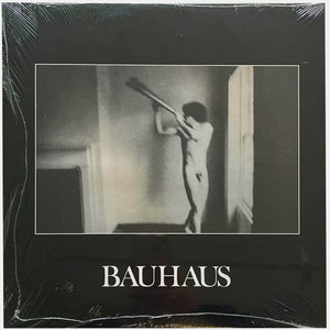Bauhaus: In the Flat Field 12" (new)