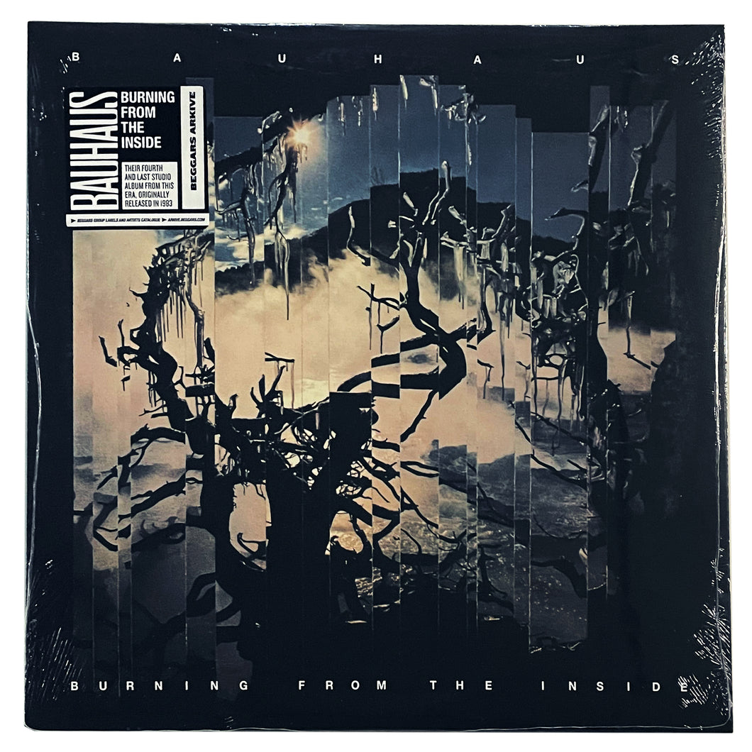 Bauhaus: Burning From The Inside 12