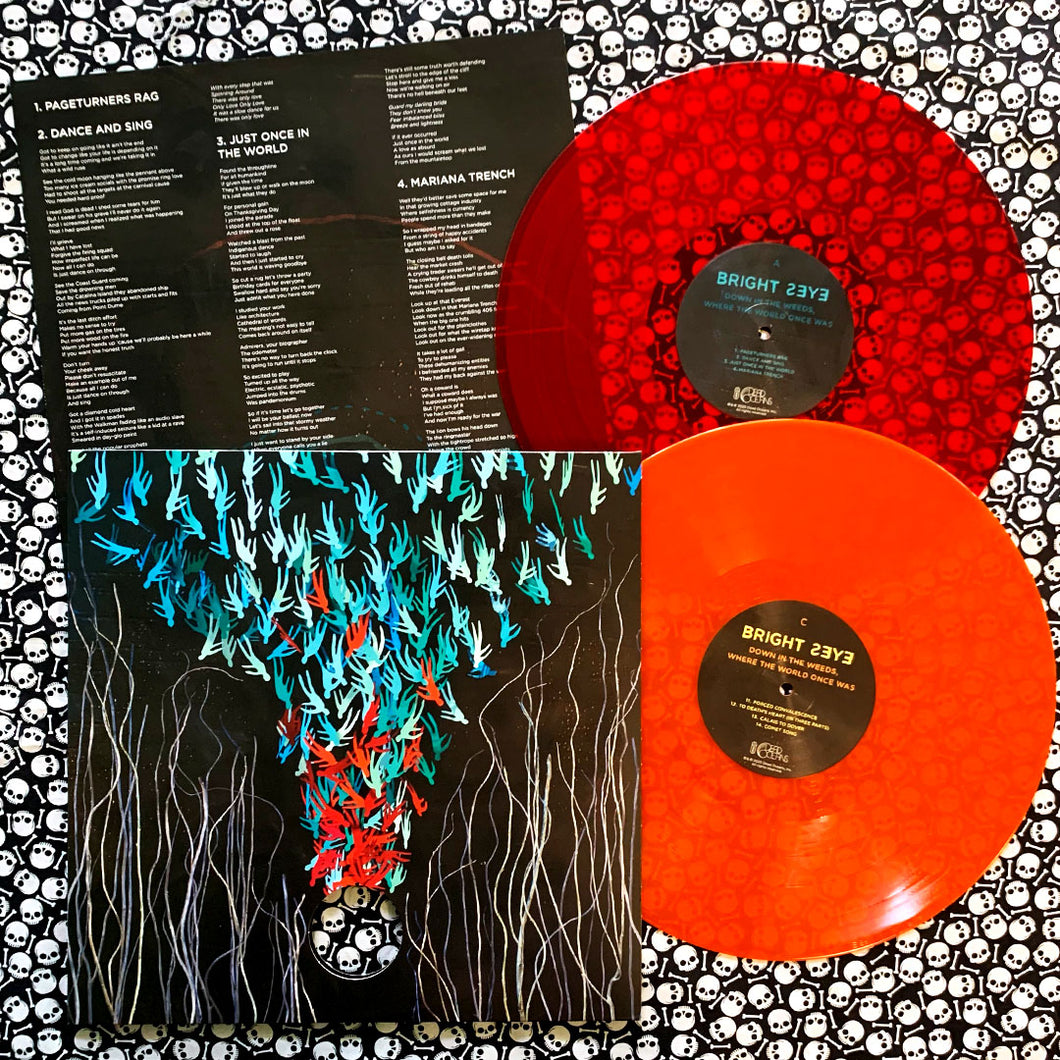Bright Eyes: Down in the Weeds, Where the World Once Was 2x12