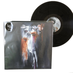Insect Ark: The Vanishing 12"