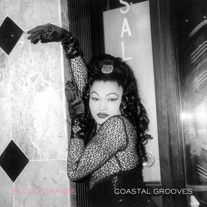 Blood Orange: Coastal Grooves 12"