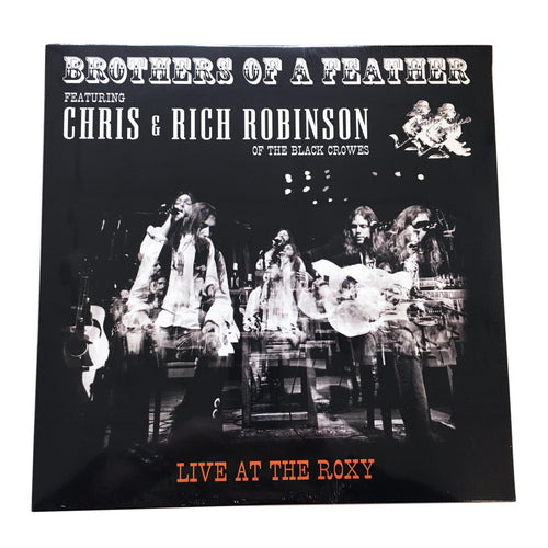 Chris and Rich Robinson: Brothers of a Feather: Live at the Roxy 12