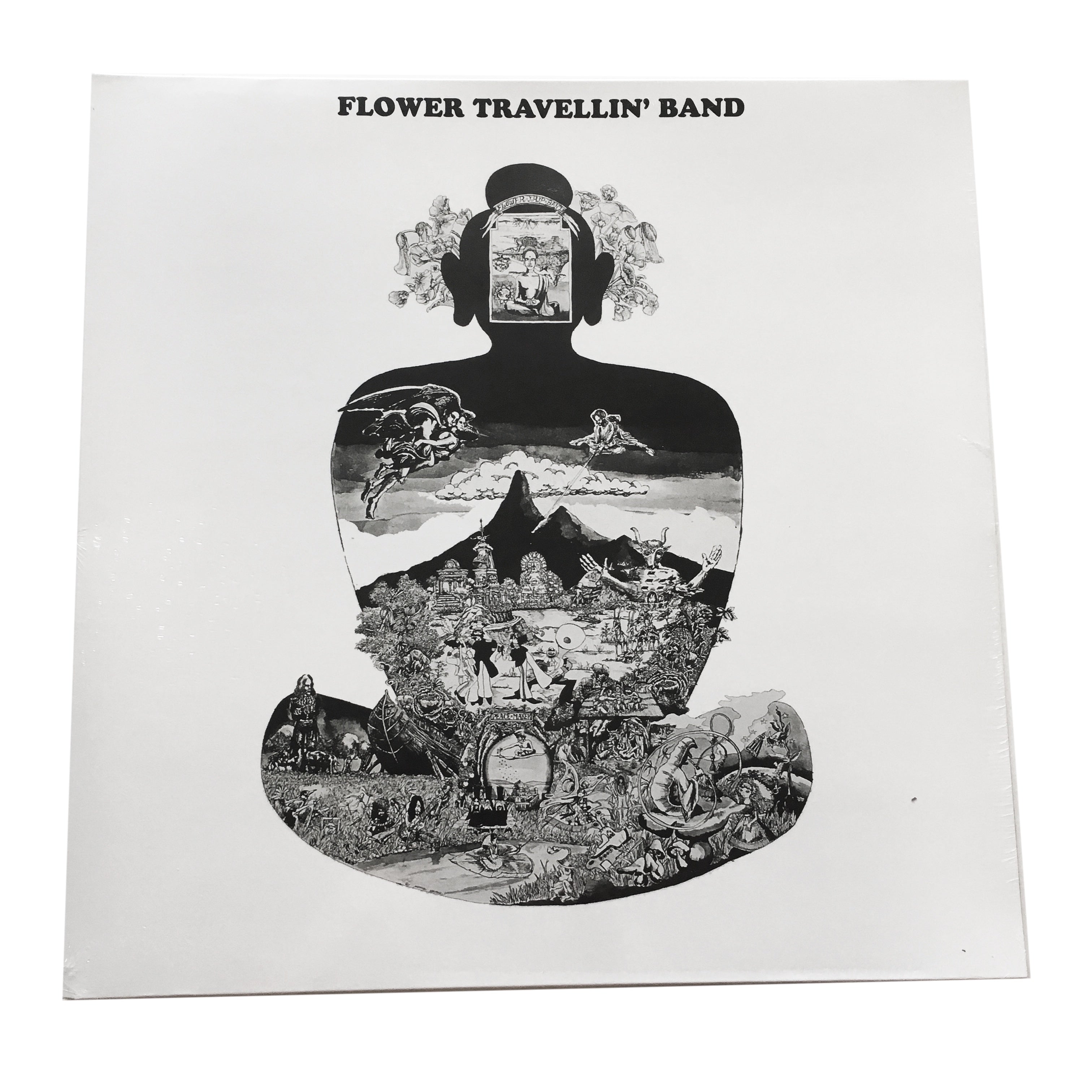 FLOWER TRAVELLING BAND SATORI LP レコード Flower Travellin' Band: Satori 12