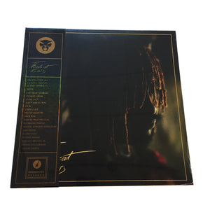 Thundercat: It Is What It Is 12" (Deluxe Version)