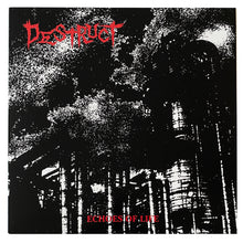 Destruct: Echoes of Life 12"