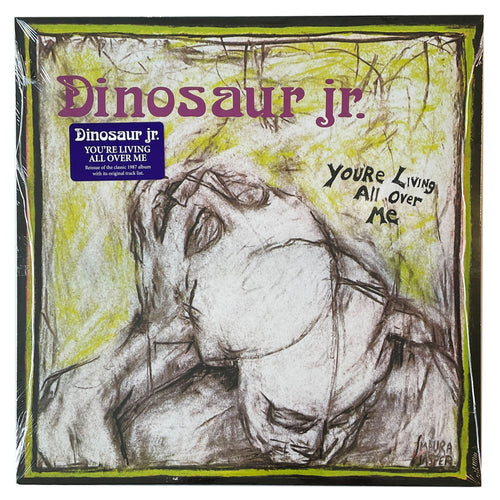 Dinosaur Jr.: You're Living All Over Me 12