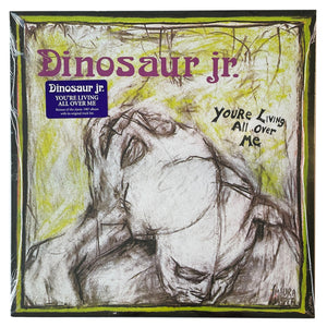 Dinosaur Jr.: You're Living All Over Me 12"