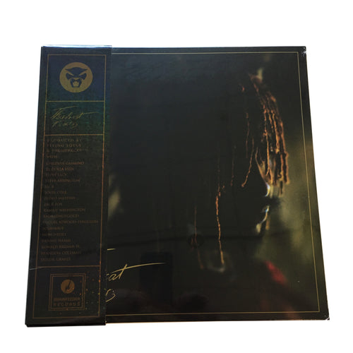 Thundercat: It Is What It Is 12