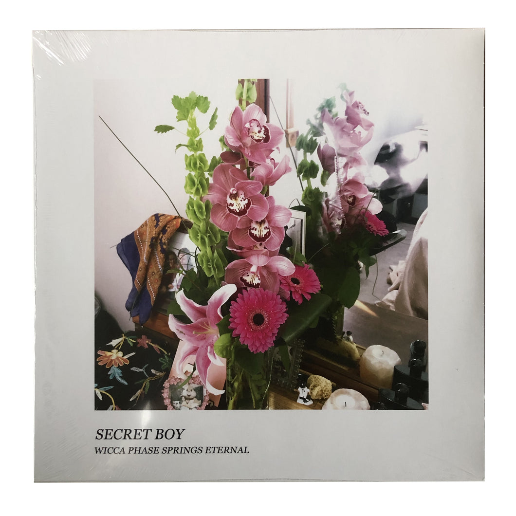 Wicca Phase Springs Eternal: Secret Boy 12