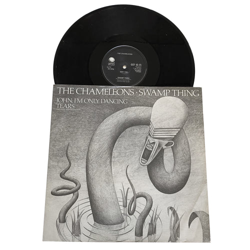 The Chameleons: Swamp Thing 12