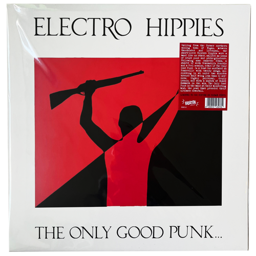 Electro Hippies: The Only Good Punk Is A Dead One 12