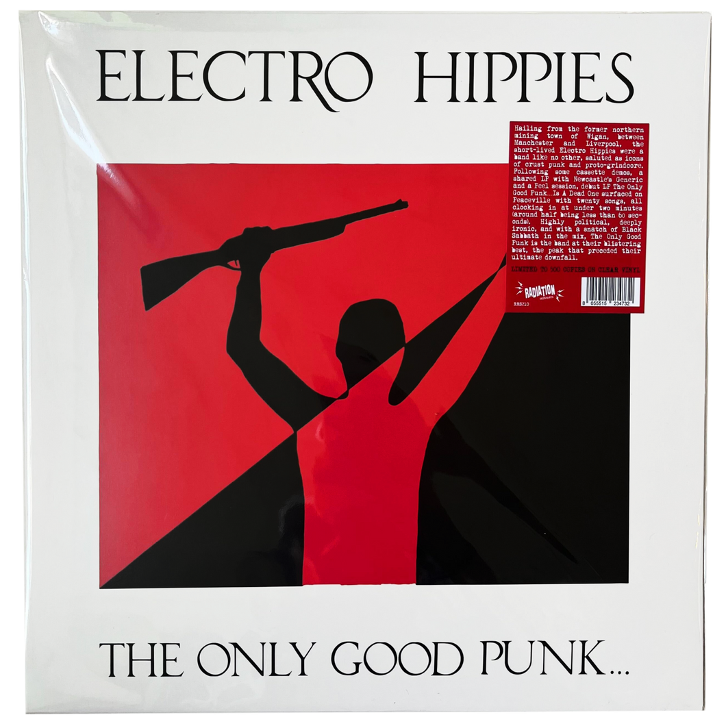 Electro Hippies: The Only Good Punk Is A Dead One 12