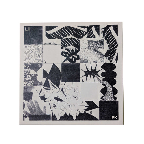 Liiek: S/T 12