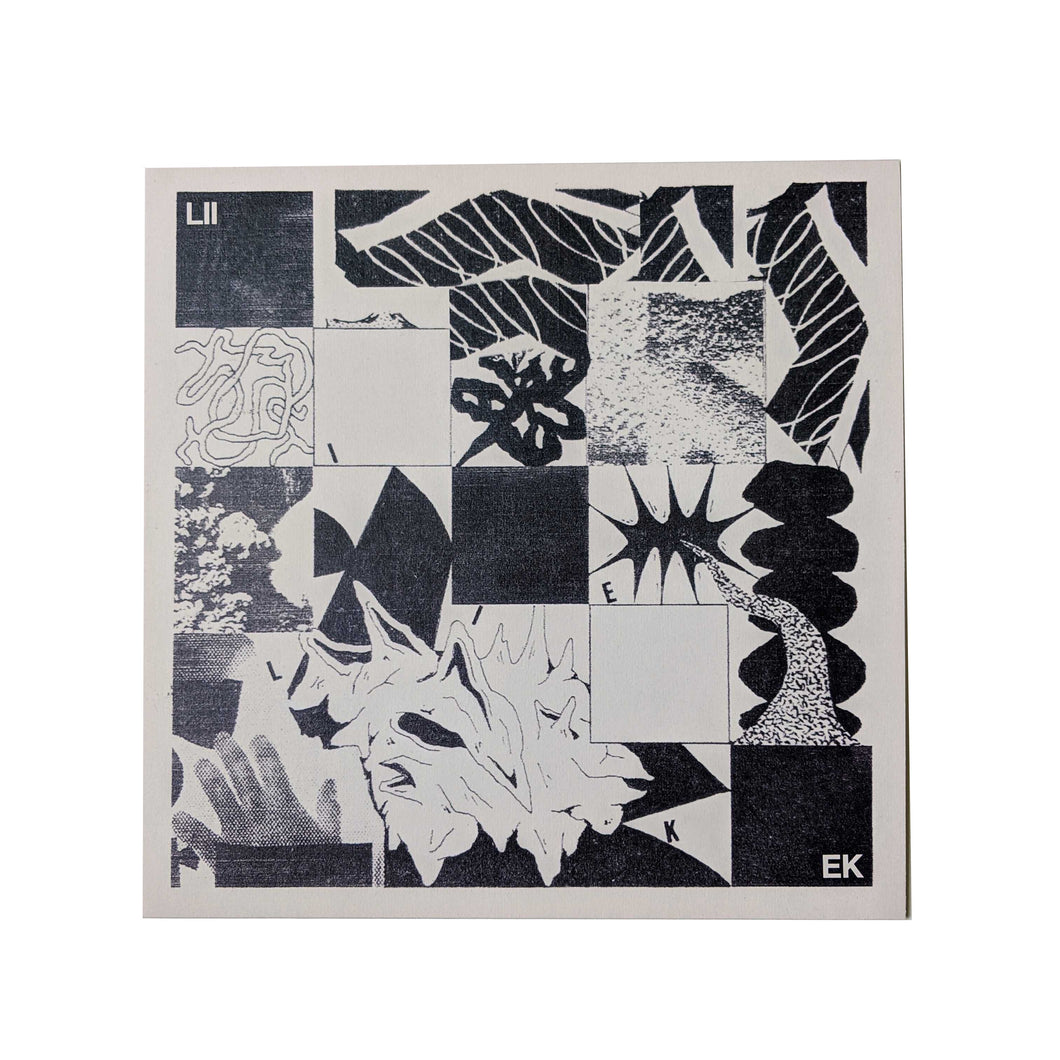 Liiek: S/T 12