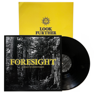Foresight: In Search of Understanding 12"