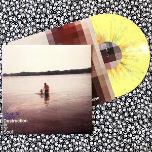 Hospital Ships: Destruction in Yr Soul 12" (used)