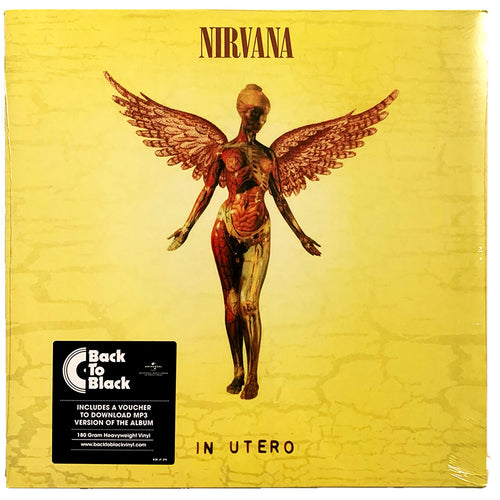 Nirvana: In Utero 12