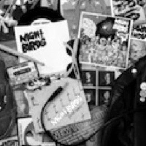 Night Birds: Fresh Kills Vol 1 12