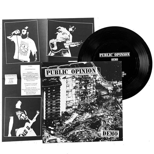 Public Opinion: Demo 7