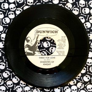 The Shadows of Knight: Someone Likes Me 7" (used)