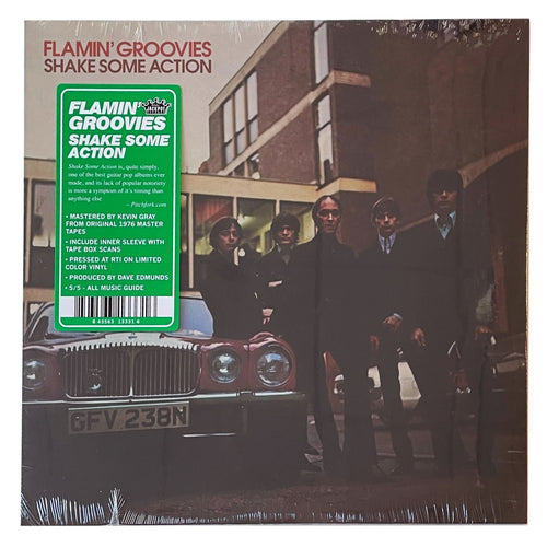 Flamin' Groovies: Shake Some Action 12