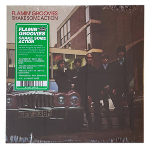 Flamin' Groovies: Shake Some Action 12"