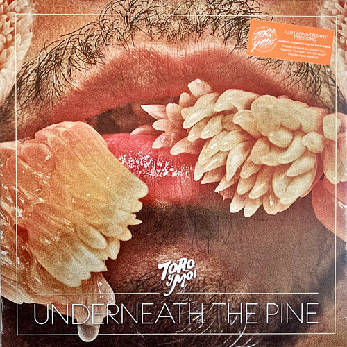 Toro Y Moi: Underneath The Pine 12