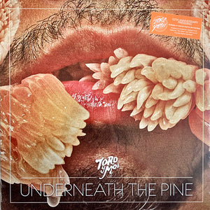 Toro Y Moi: Underneath The Pine 12"